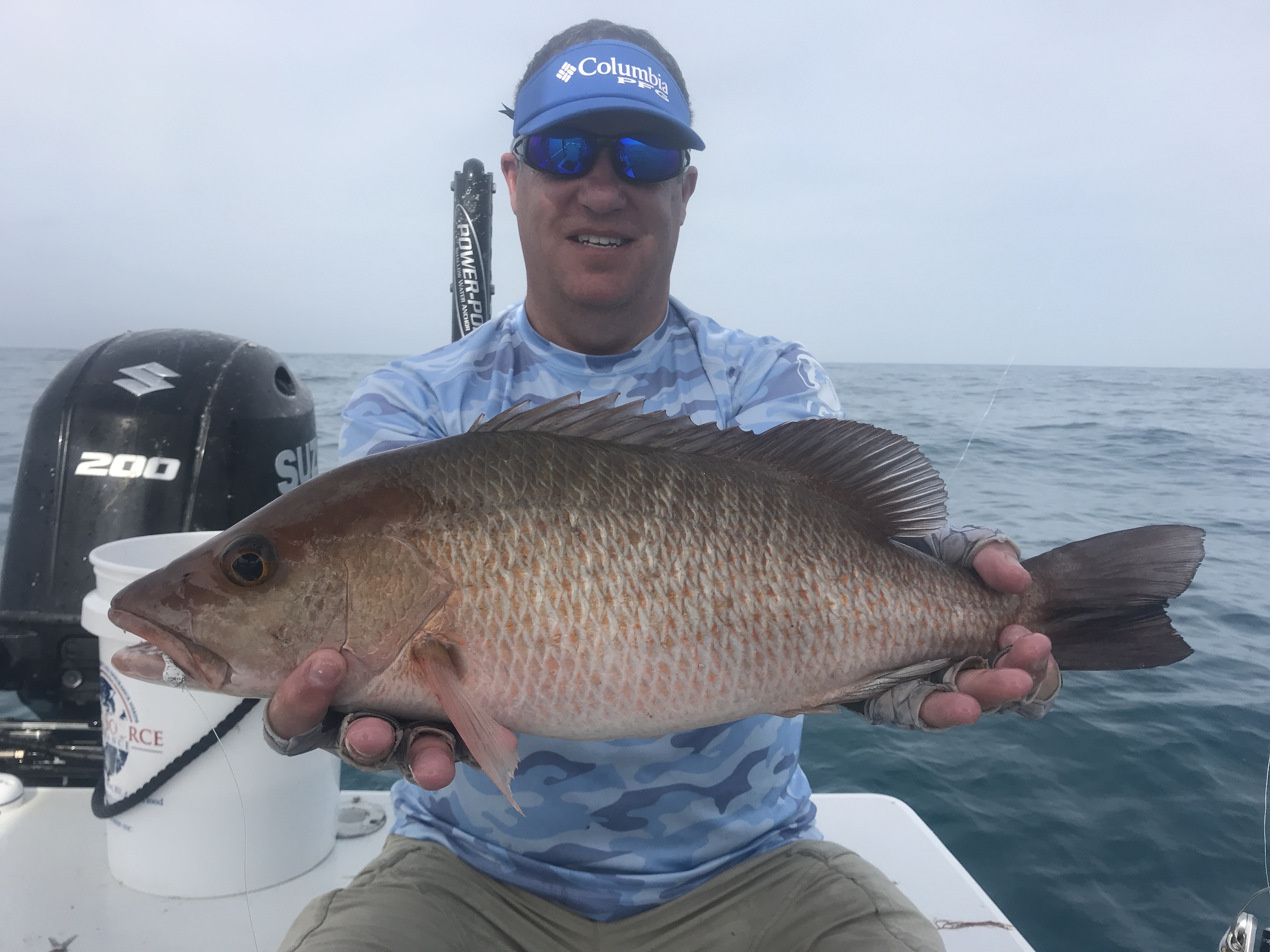 Mangrove Snapper | Captain Jason Stock - Fishing Charters