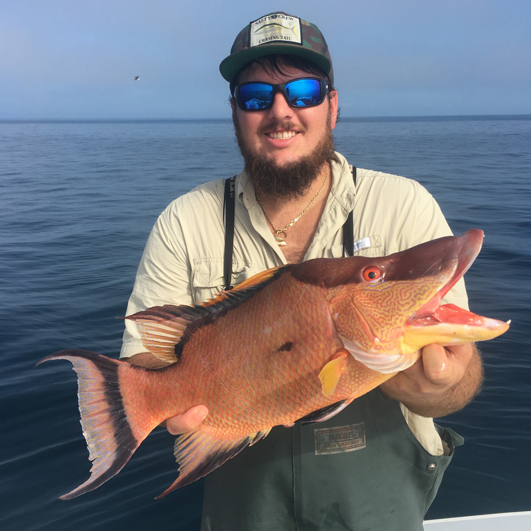hogfish_offshore