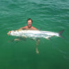 swimming_with_tarpon