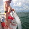 tarpon_inshore