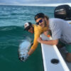tarpon_springtime