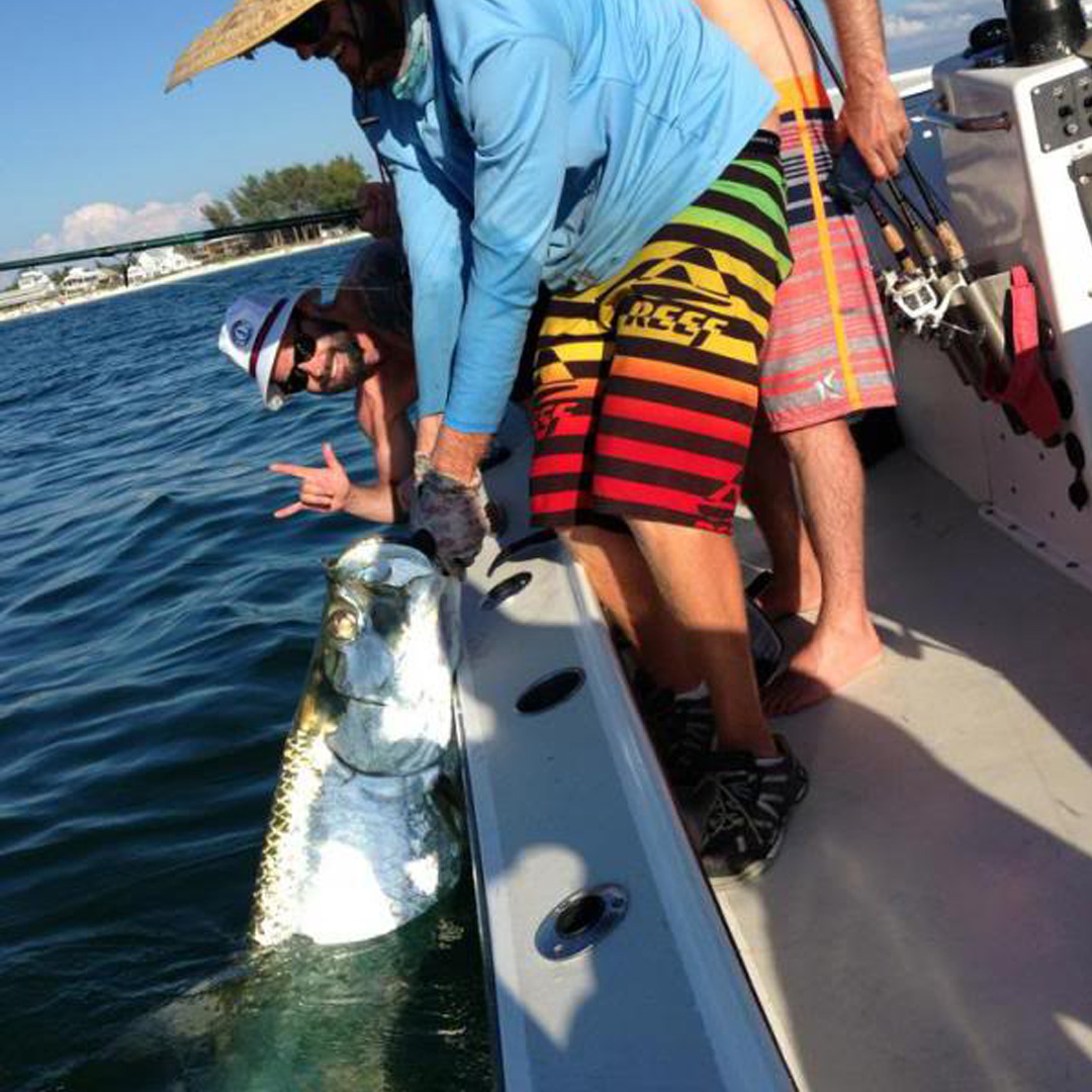 These clients went from almost no experience, to bringing up this great Tarpons on their charter. 