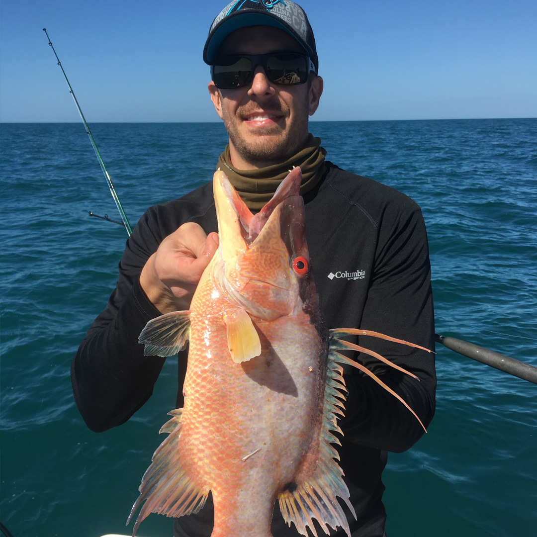 offshore_winter_hogfish