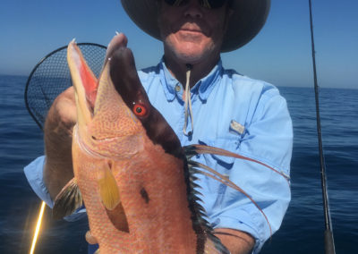 offshore_hogfish_winter