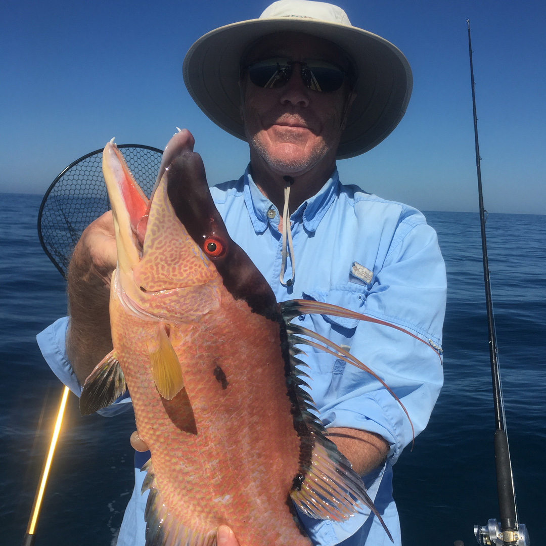 offshore_hogfish_winter