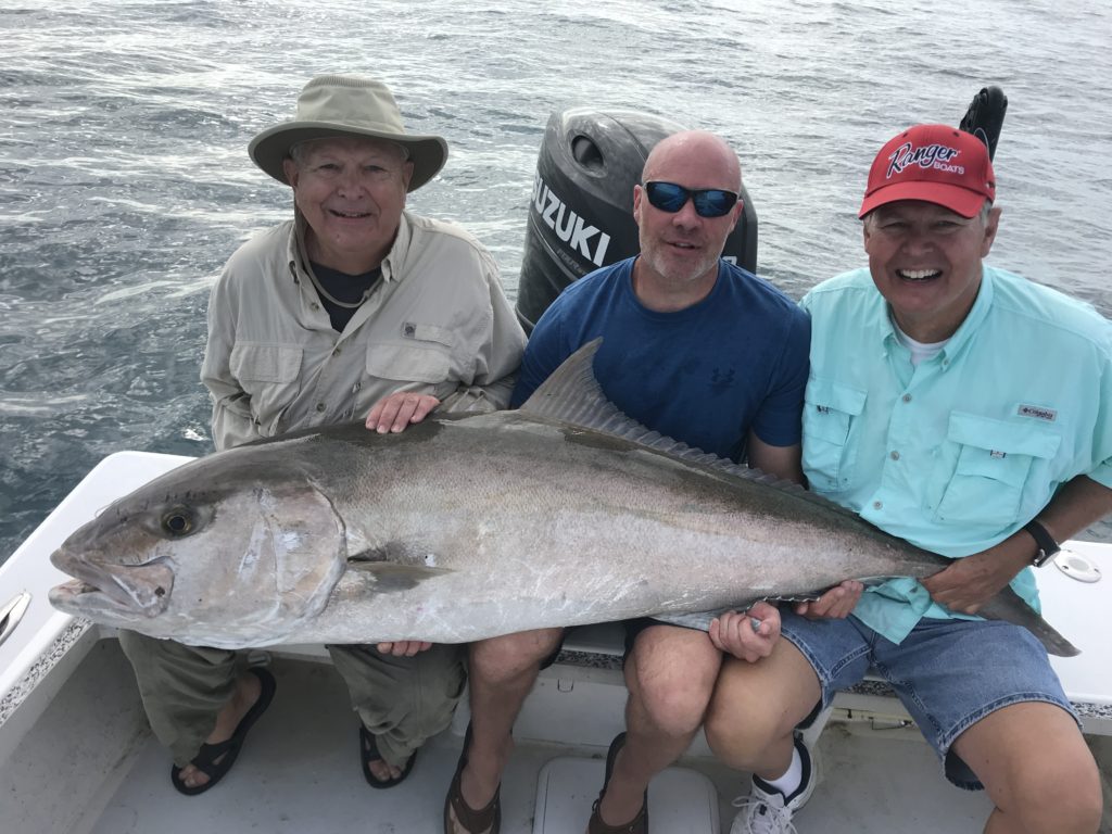 Giant amberjack's and Mangrove snapper off Anna Maria Island with