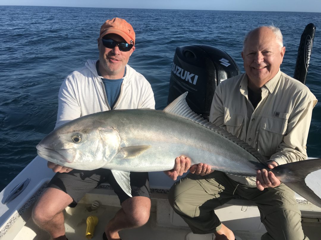 Giant amberjack’s and Mangrove snapper off Anna Maria Island with ...