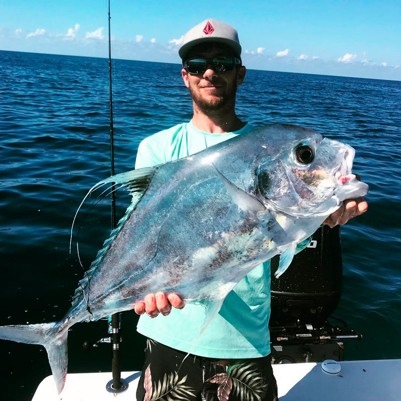 African Pompano (Alectic ciliaris) - Caught on Offshore Fishing Charters.