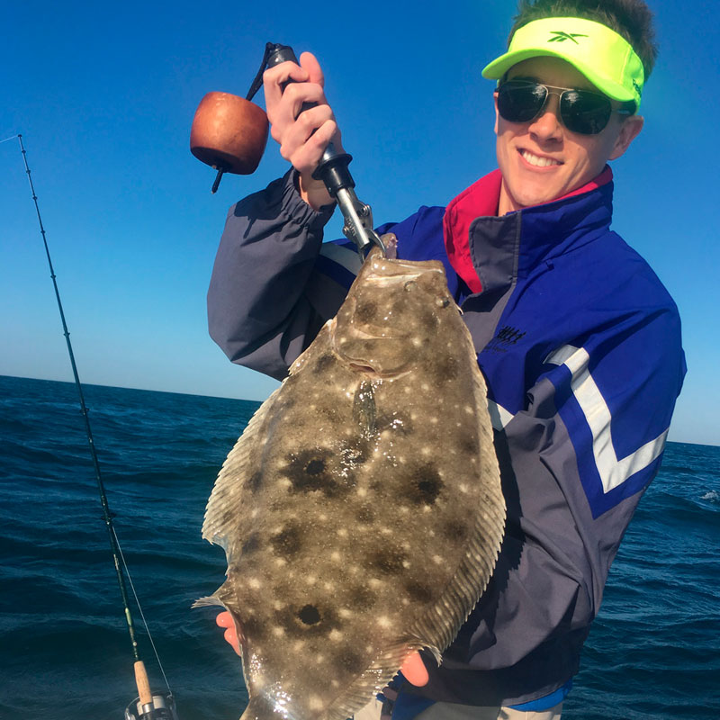 Flounder (Paralichthys albiguttata)