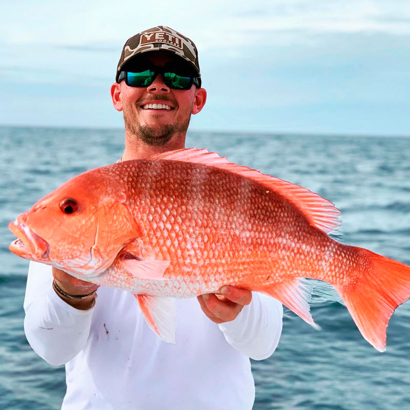 Red Snapper (Lutjanus campechanus)