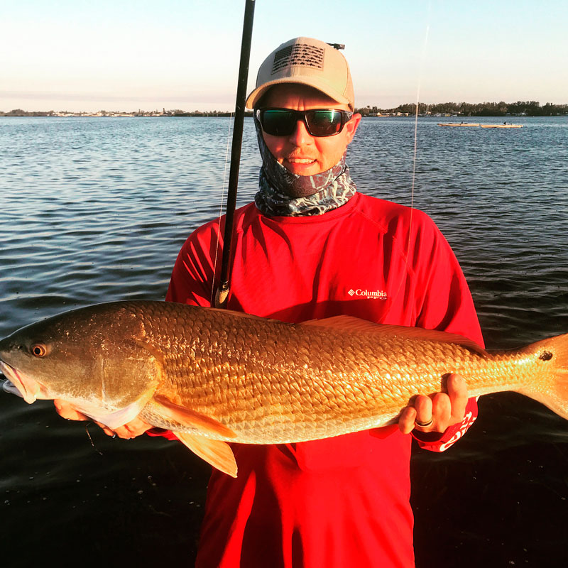 Redfish (Sciaenops ocellatus)