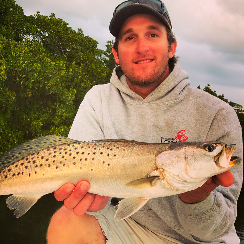 Trout (Cynoscion nebulosus)