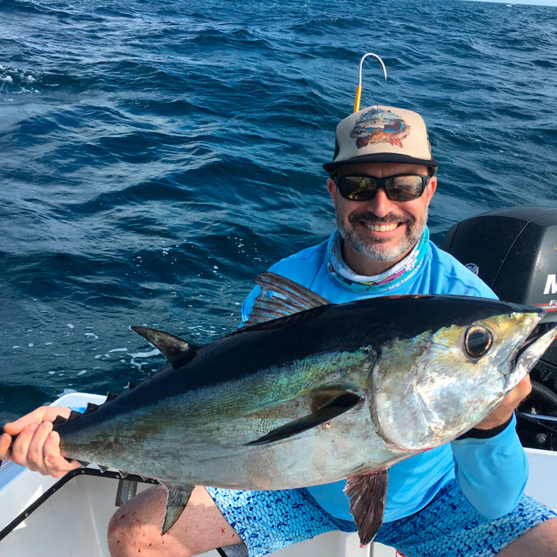 Blackfin Tuna  (Thunnus atlanticus)